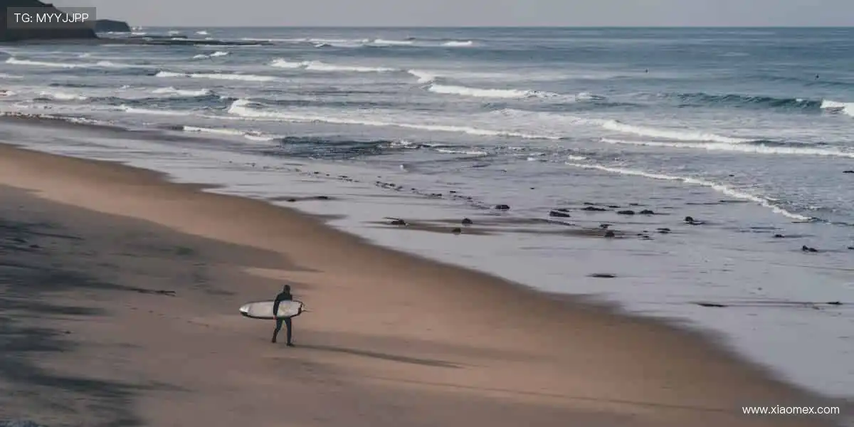 ⚽️ 一键购票，锁定你的热爱！